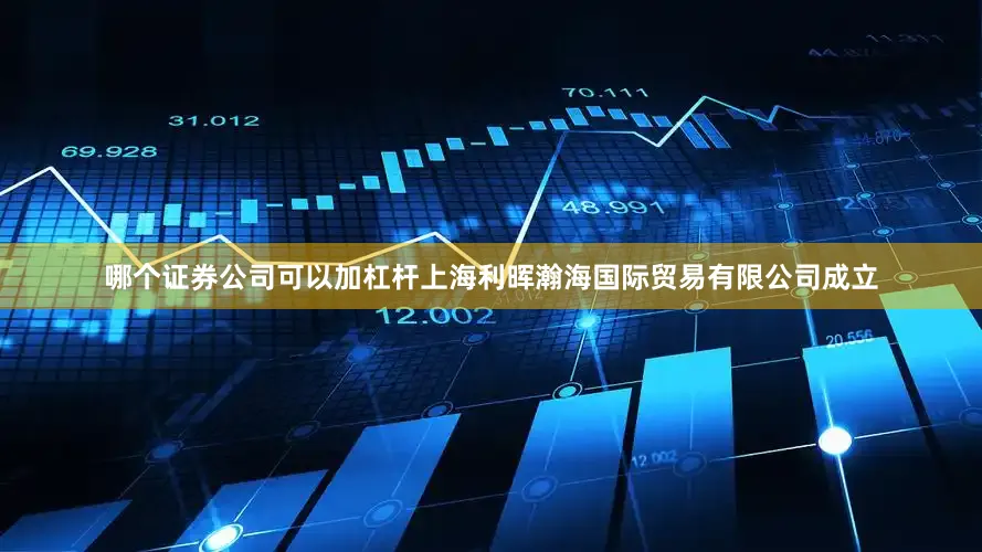 哪个证券公司可以加杠杆上海利晖瀚海国际贸易有限公司成立